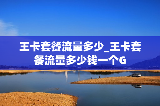王卡套餐流量多少_王卡套餐流量多少钱一个G