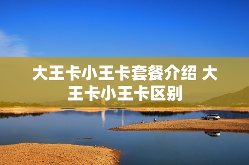 大王卡小王卡套餐介绍 大王卡小王卡区别
