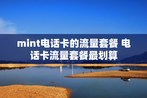 mint电话卡的流量套餐 电话卡流量套餐最划算