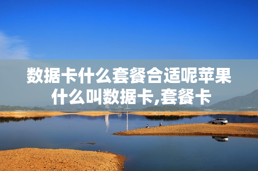 数据卡什么套餐合适呢苹果 什么叫数据卡,套餐卡