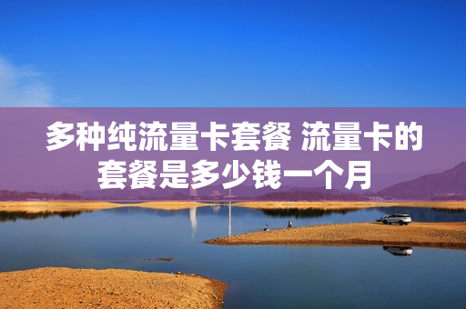 多种纯流量卡套餐 流量卡的套餐是多少钱一个月