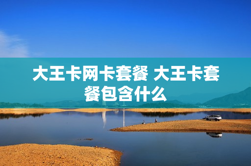 大王卡网卡套餐 大王卡套餐包含什么