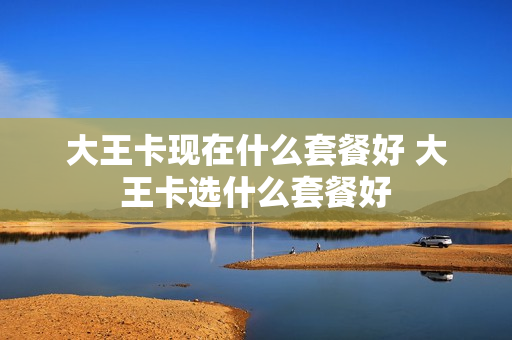 大王卡现在什么套餐好 大王卡选什么套餐好
