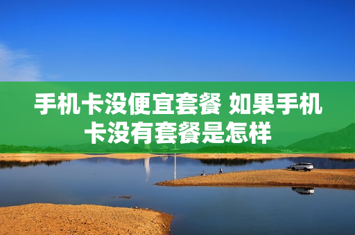 手机卡没便宜套餐 如果手机卡没有套餐是怎样