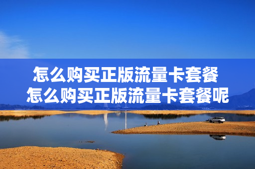 怎么购买正版流量卡套餐 怎么购买正版流量卡套餐呢