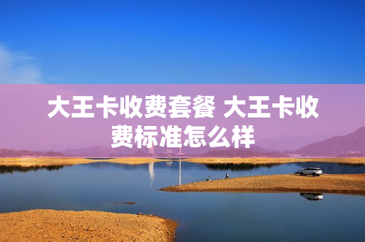 大王卡收费套餐 大王卡收费标准怎么样
