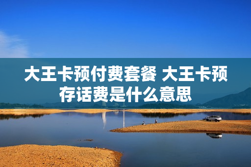 大王卡预付费套餐 大王卡预存话费是什么意思