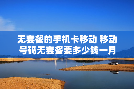 无套餐的手机卡移动 移动号码无套餐要多少钱一月