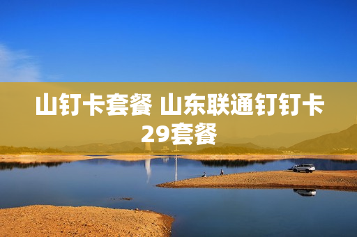 山钉卡套餐 山东联通钉钉卡29套餐