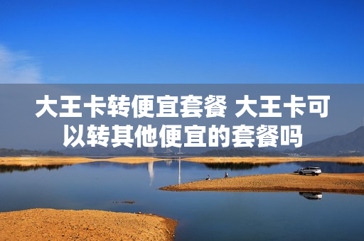 大王卡转便宜套餐 大王卡可以转其他便宜的套餐吗