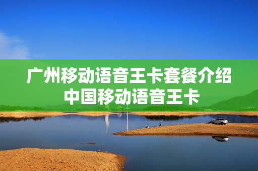 广州移动语音王卡套餐介绍 中国移动语音王卡