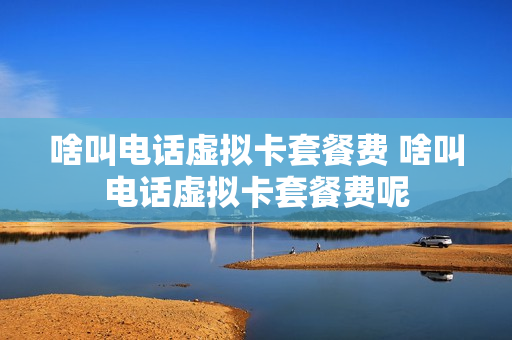 啥叫电话虚拟卡套餐费 啥叫电话虚拟卡套餐费呢