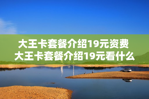 大王卡套餐介绍19元资费 大王卡套餐介绍19元看什么是免费的软件