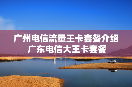 广州电信流量王卡套餐介绍 广东电信大王卡套餐