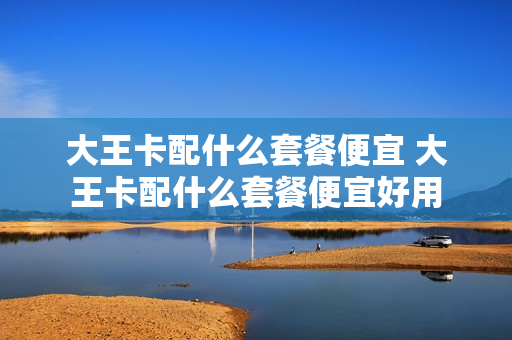 大王卡配什么套餐便宜 大王卡配什么套餐便宜好用