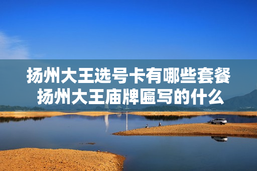 扬州大王选号卡有哪些套餐 扬州大王庙牌匾写的什么字