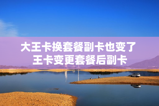 大王卡换套餐副卡也变了 王卡变更套餐后副卡