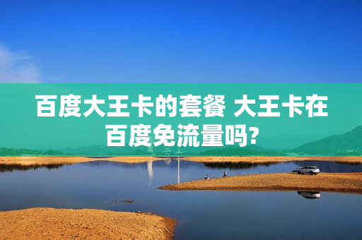 百度大王卡的套餐 大王卡在百度免流量吗?