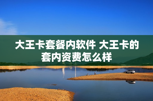 大王卡套餐内软件 大王卡的套内资费怎么样