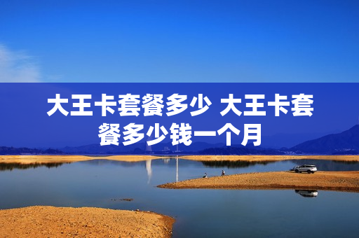 大王卡套餐多少 大王卡套餐多少钱一个月