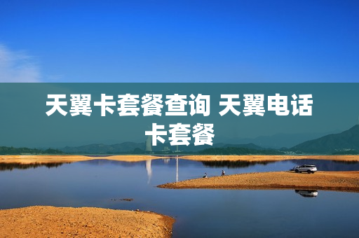 天翼卡套餐查询 天翼电话卡套餐