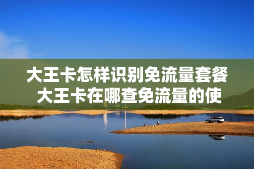 大王卡怎样识别免流量套餐 大王卡在哪查免流量的使用