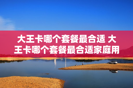 大王卡哪个套餐最合适 大王卡哪个套餐最合适家庭用