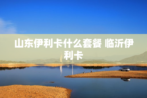 山东伊利卡什么套餐 临沂伊利卡