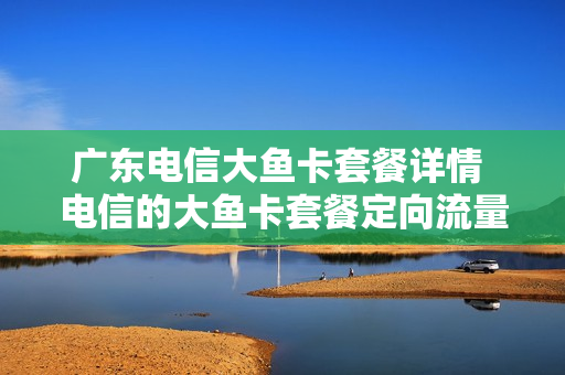 广东电信大鱼卡套餐详情 电信的大鱼卡套餐定向流量是什么