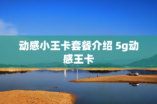 动感小王卡套餐介绍 5g动感王卡