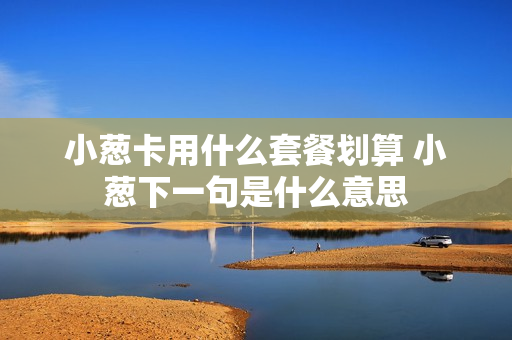 小葱卡用什么套餐划算 小葱下一句是什么意思