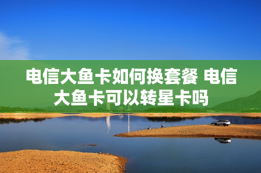 电信大鱼卡如何换套餐 电信大鱼卡可以转星卡吗