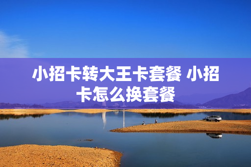 小招卡转大王卡套餐 小招卡怎么换套餐