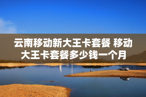 云南移动新大王卡套餐 移动大王卡套餐多少钱一个月