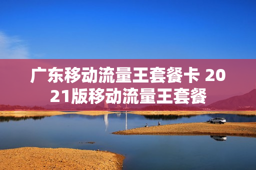 广东移动流量王套餐卡 2021版移动流量王套餐