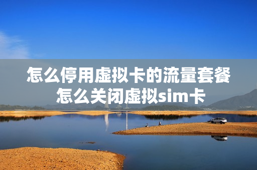怎么停用虚拟卡的流量套餐 怎么关闭虚拟sim卡