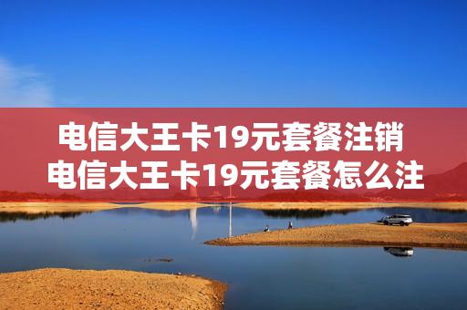 电信大王卡19元套餐注销 电信大王卡19元套餐怎么注销