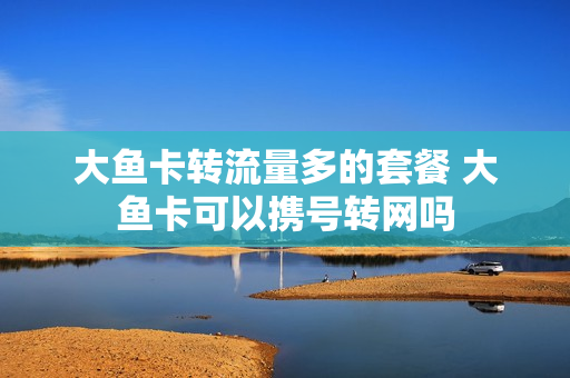 大鱼卡转流量多的套餐 大鱼卡可以携号转网吗
