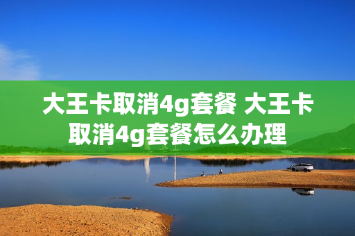 大王卡取消4g套餐 大王卡取消4g套餐怎么办理