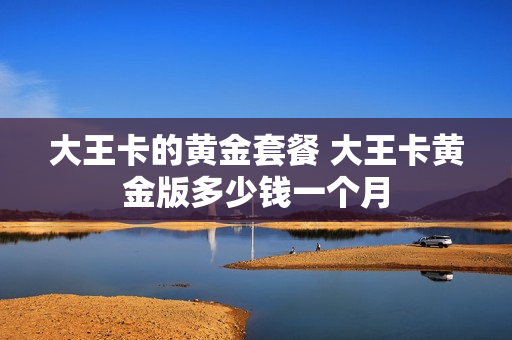 大王卡的黄金套餐 大王卡黄金版多少钱一个月
