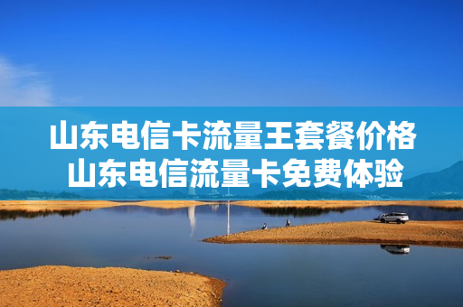 山东电信卡流量王套餐价格 山东电信流量卡免费体验三个月