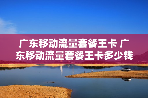 广东移动流量套餐王卡 广东移动流量套餐王卡多少钱