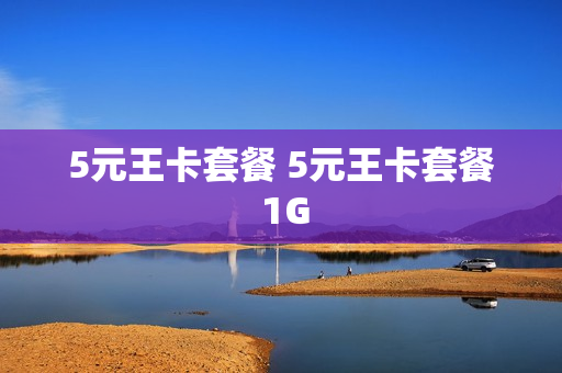 5元王卡套餐 5元王卡套餐 1G