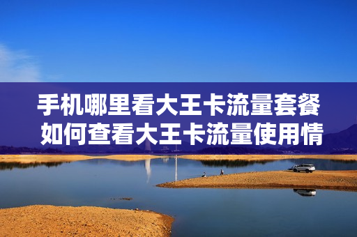 手机哪里看大王卡流量套餐 如何查看大王卡流量使用情况