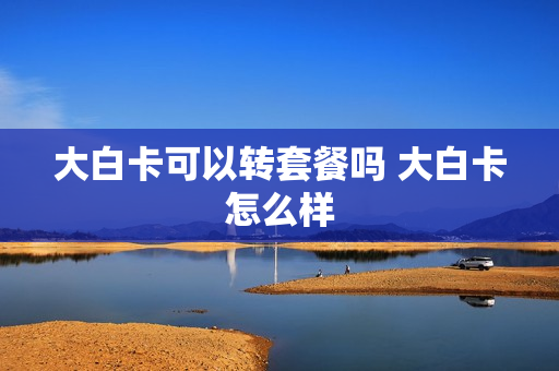 大白卡可以转套餐吗 大白卡怎么样