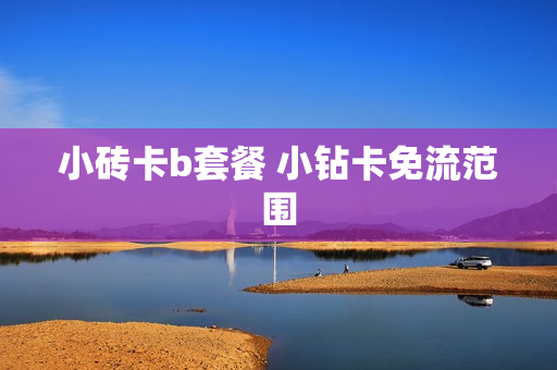 小砖卡b套餐 小钻卡免流范围