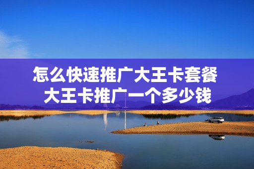 怎么快速推广大王卡套餐 大王卡推广一个多少钱