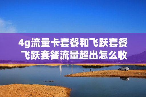 4g流量卡套餐和飞跃套餐 飞跃套餐流量超出怎么收费