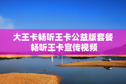 大王卡畅听王卡公益版套餐 畅听王卡宣传视频