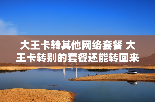 大王卡转其他网络套餐 大王卡转别的套餐还能转回来吗
